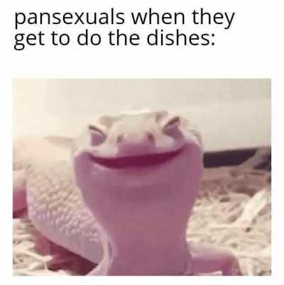 **Scrubbing pans intensifies**
