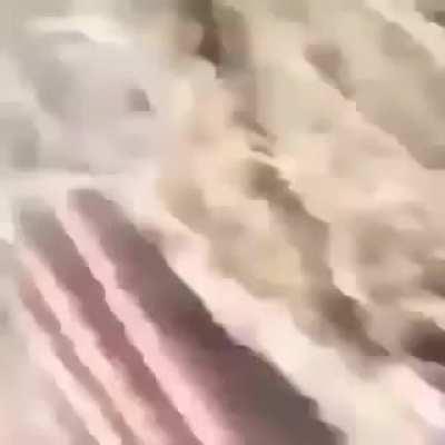 Battlefield 1 trailer