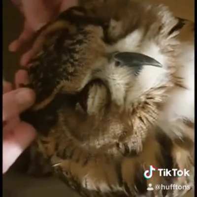 I want some of this Therapy