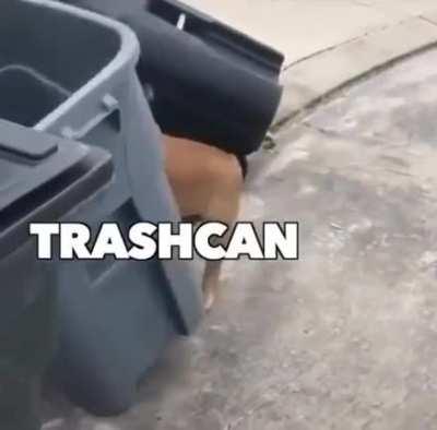 Not on my cul-de-sac!