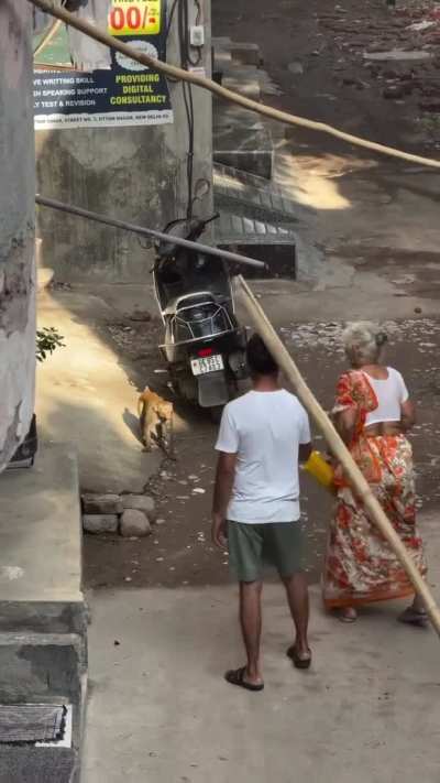 monkey ragebaited dadi