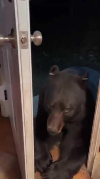 The doggy was sad because he couldn't come in