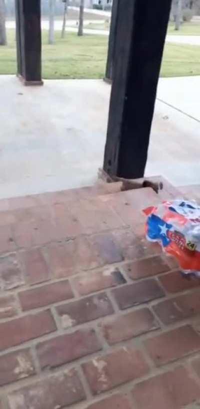 Nothing's gonna slow me down!