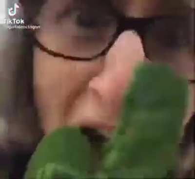 HUEstation - Video #6707