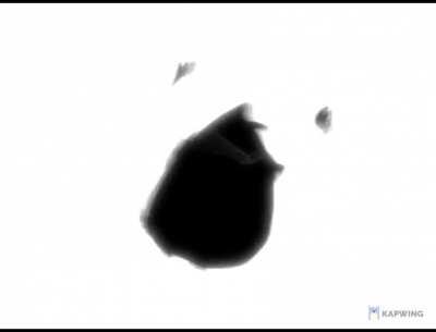 Death by krab borg (credit: ditzyflama)