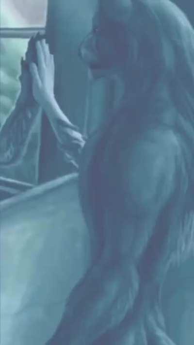 Plot Twist: foi o Paysandu q fez