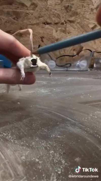 That’s a unique pencil sharpener..