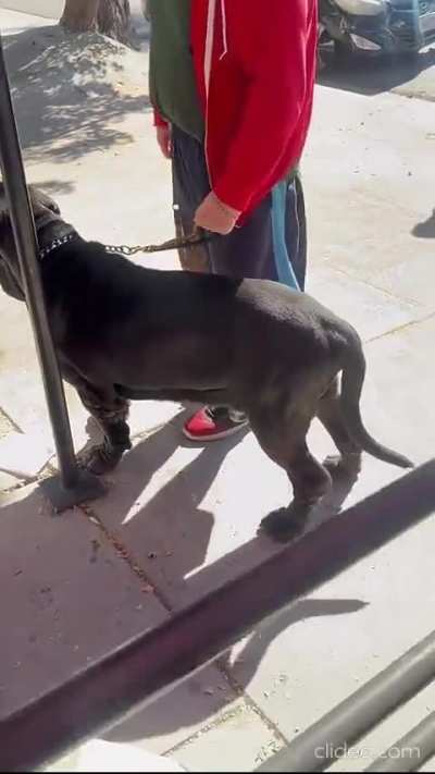 Home for the holidays