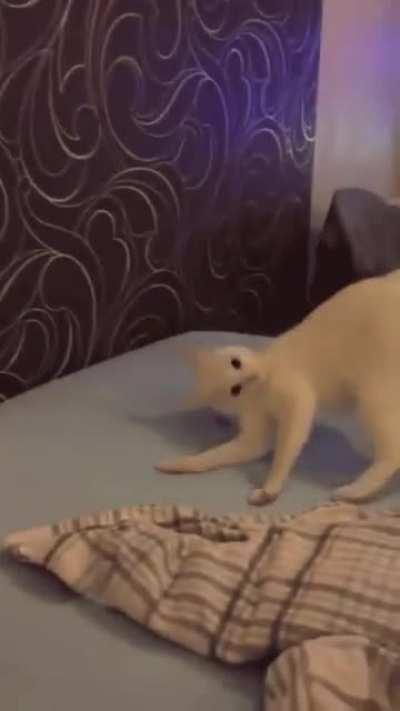 What was he trying to do lol