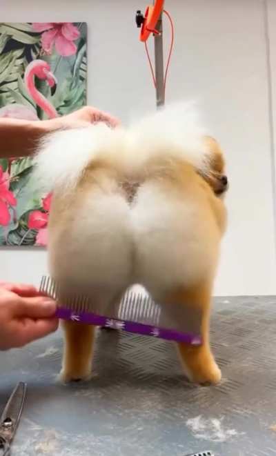 Jealous people will say it's just hair..