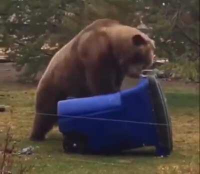 Practicing CPR on a Dummy