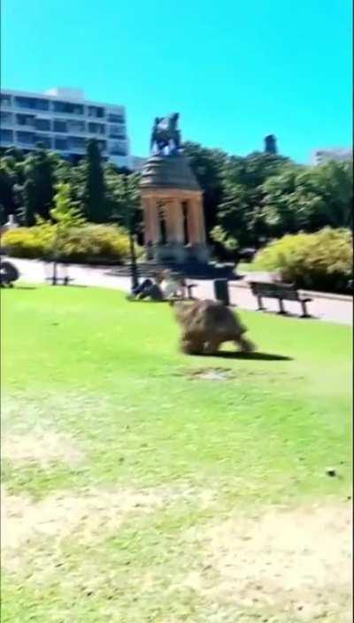 I gave Lilith a gun ❤️ ( animated CGi)