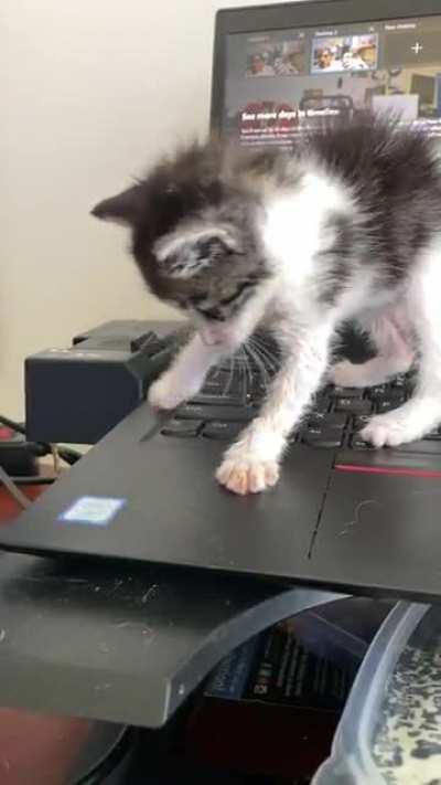 First she breaks into my office and now she’s trying to do my job. What’s next?!