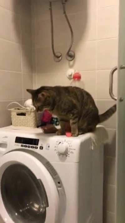 Let me just paint the floor brown