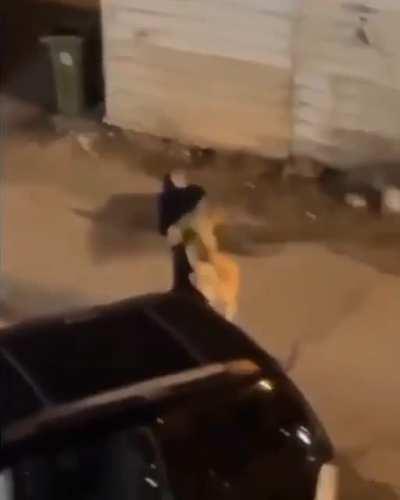 WoMaN kiDNaPs a PoOr LiOn