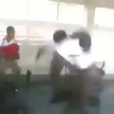 Waddle waddle waddle