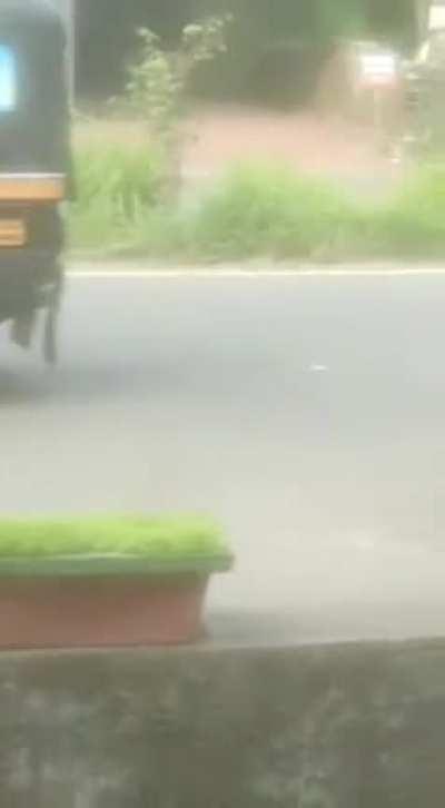 I can swallow a bottle of alcohol and I'll feel like Godzilla