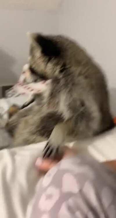 Is he insane?. I'm scared..