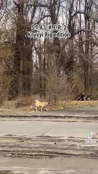 Ukraine actually looks like S.T.A.L.K.E.R. games