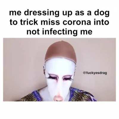 i’ll never look at a dog the same way again. time to bleach my eyes