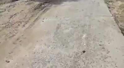 Modern Beggers of India