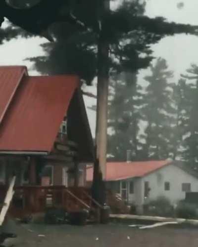 lightning vs tree vs roof