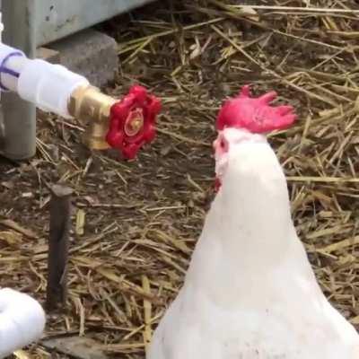 Who’s the new guy?