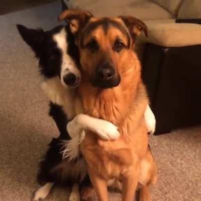 Who's your best friend?