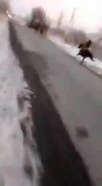 Least horse-reliant Kazakhs