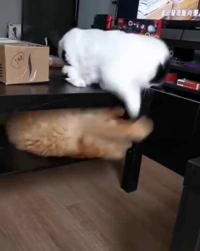 Love & Hate Relationship