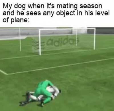 Sorry for the bad quality