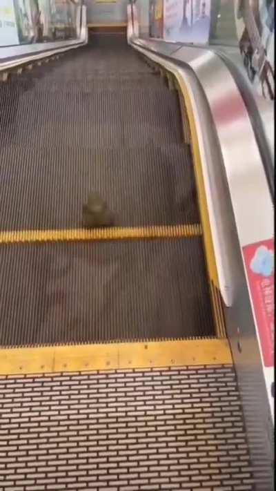 Yet he persisted, he found meaning in his suffering