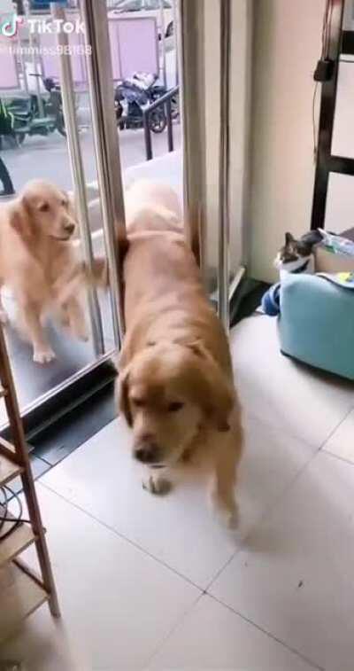 One at a time please