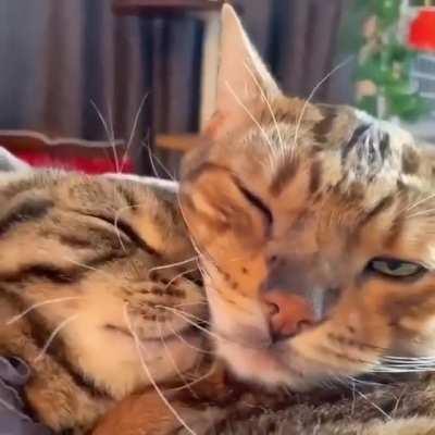 What a lovely couple