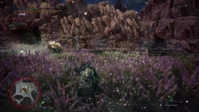 My Palico is just something else.