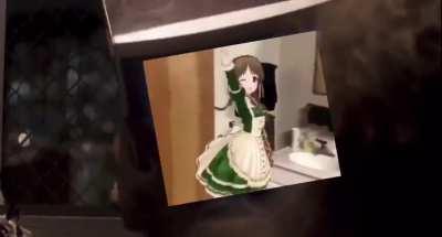 The avrage OKBB user