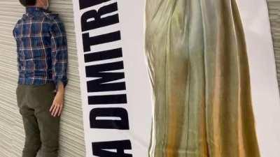 Comparison In Size with a 1.80m adult and the Lady Dimitrescu's Official Beach towel by Capcom