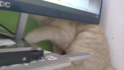 When you keep scratching but your itch won't go away. Then you realize it must be your paw being broken.