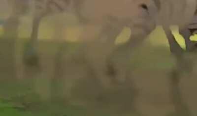 Share and Create! It’s the circle of Life!