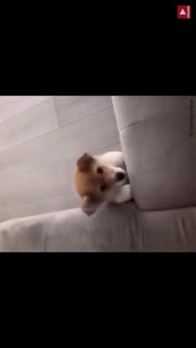 Ambitious jump being a little too ambitious...