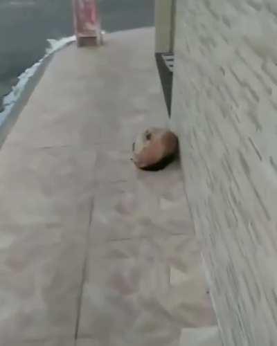 Zero depois do flow 🤪😝