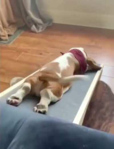 Enjoying his new slide!