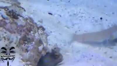 Eskilerden moralim bozulduğu vakit açar dinlerim. :)