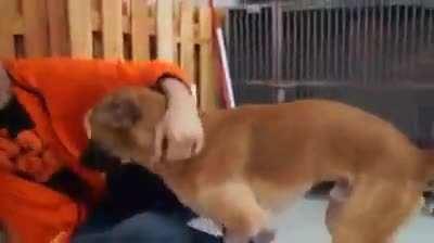 Get two new legs to tip and tap with