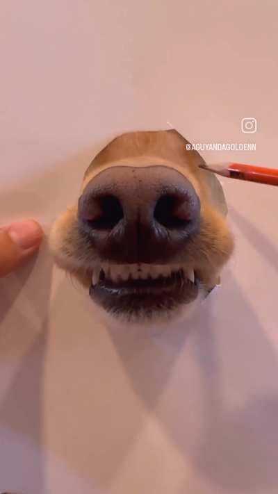 Туториал для начинающих. Как нарисовать собаку.