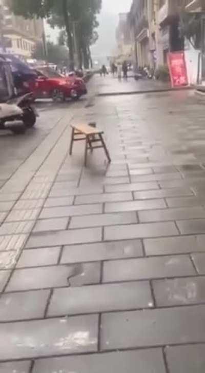 I don't have time for this shit ...