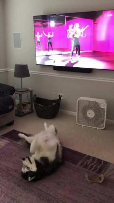 Panda joining me for my morning workout video 😂