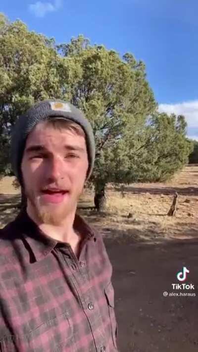 Thought this fit here