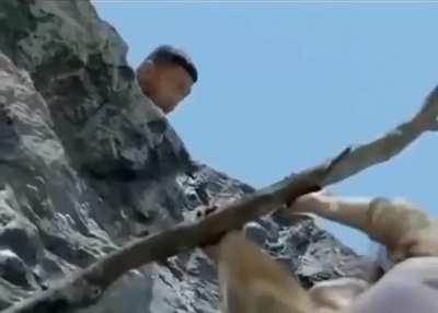 Bollywood In Nutshell