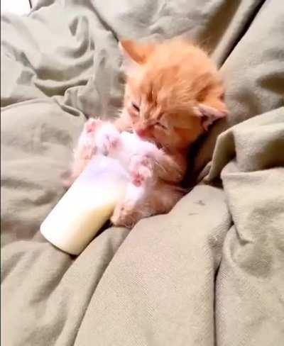 Ever seen something so adorable